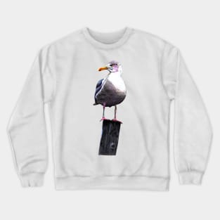 Seagull Crewneck Sweatshirt